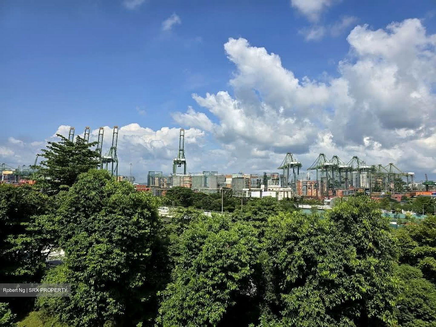 Parc Imperial (D5), Condominium #540854471